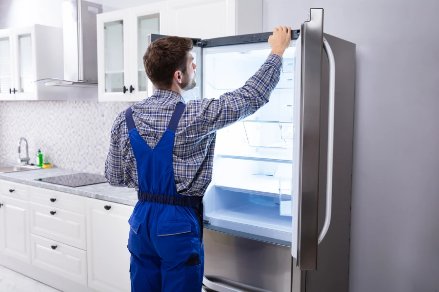 Fridge Maintenance